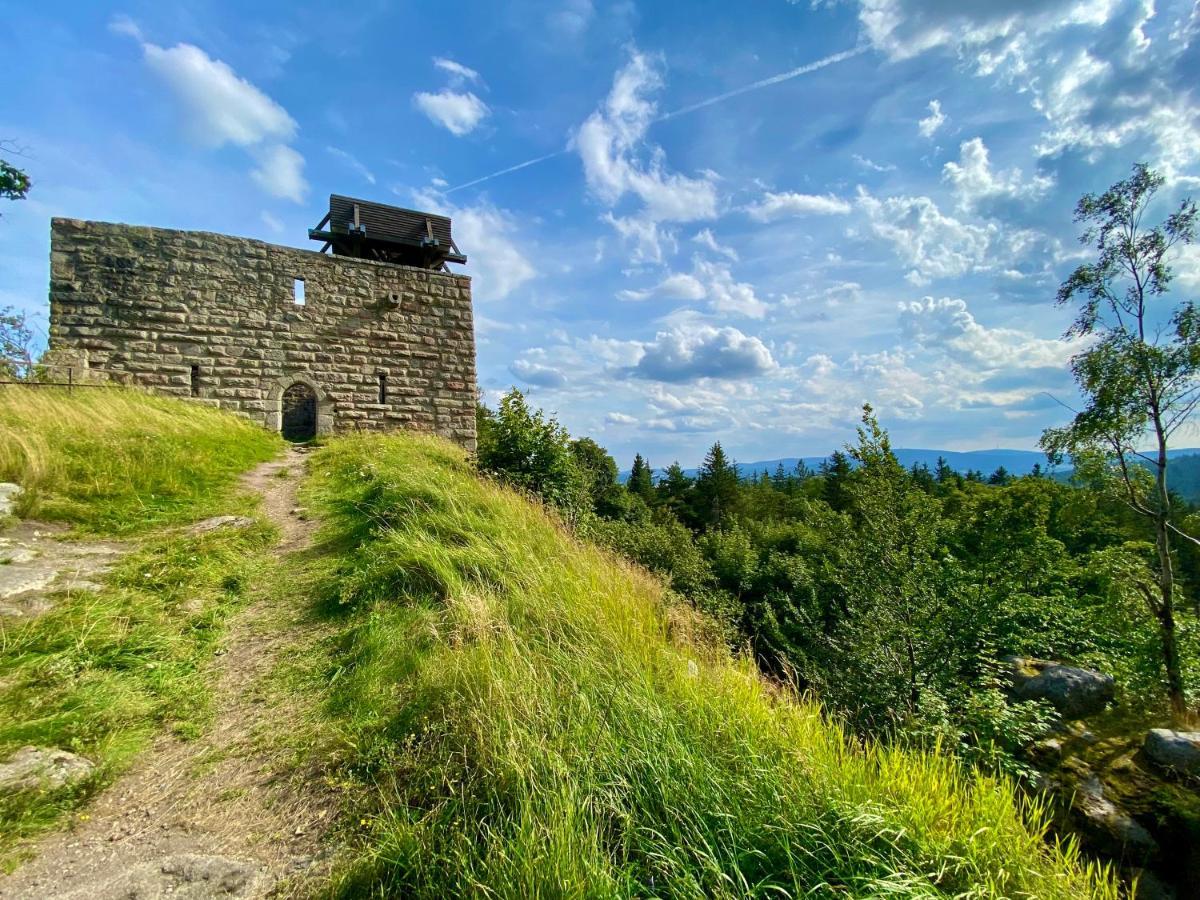 Ferienwohnung Oxana Im Naturpark Fichtelgebirge Schonwald  ภายนอก รูปภาพ