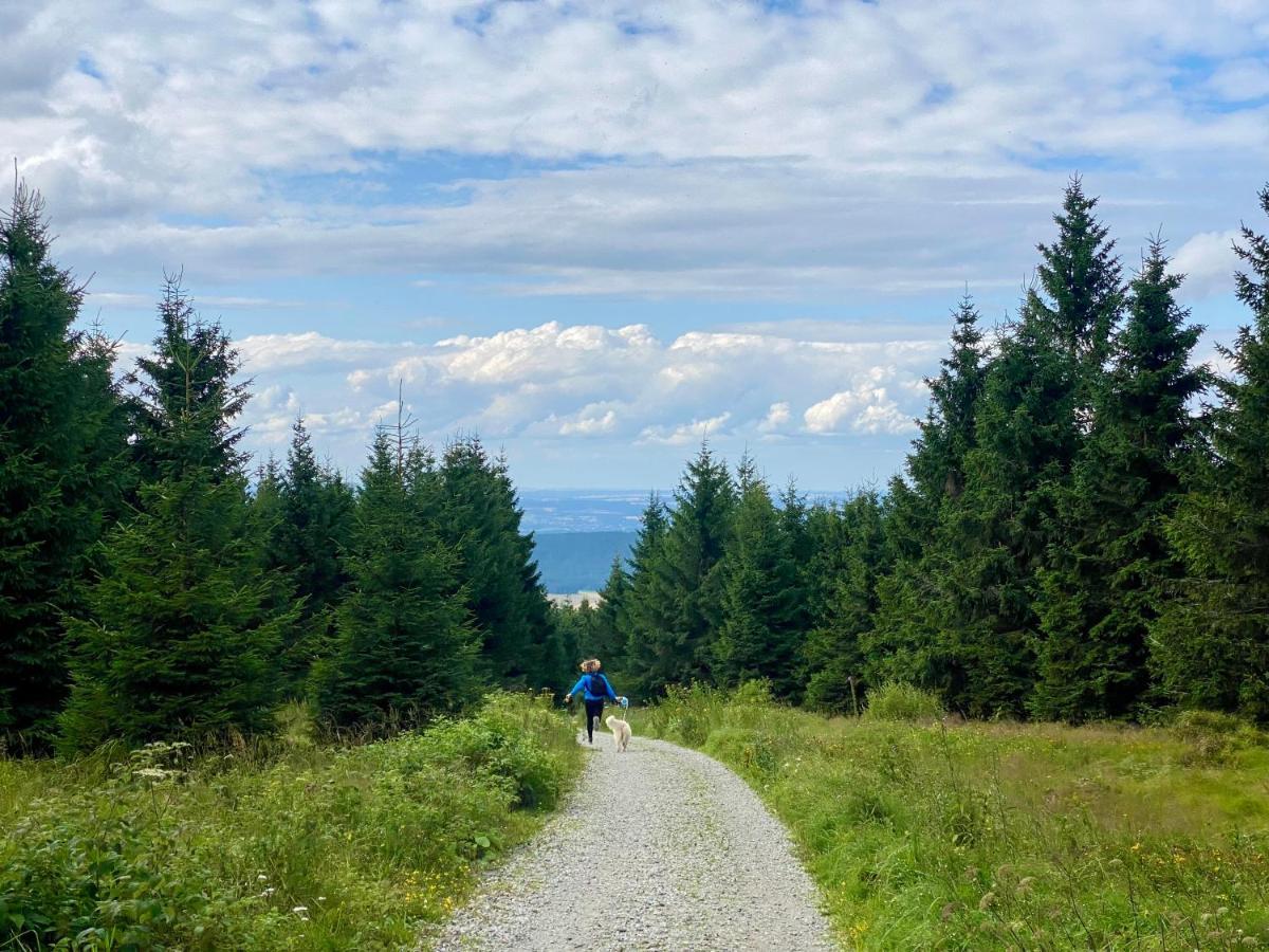 Ferienwohnung Oxana Im Naturpark Fichtelgebirge Schonwald  ภายนอก รูปภาพ