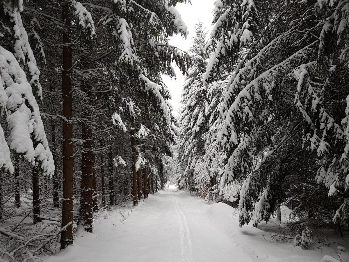 Ferienwohnung Oxana Im Naturpark Fichtelgebirge Schonwald  ภายนอก รูปภาพ